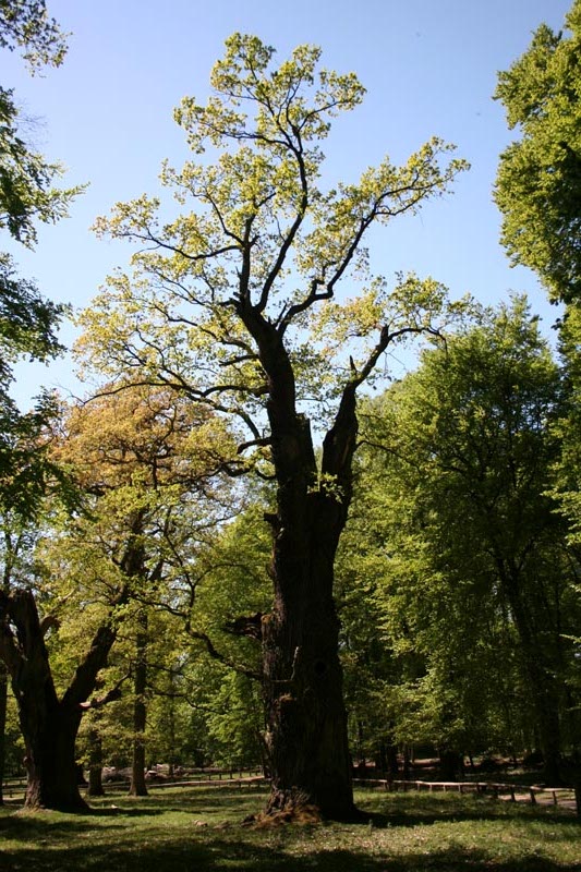 Killikus&reg; Fotographie